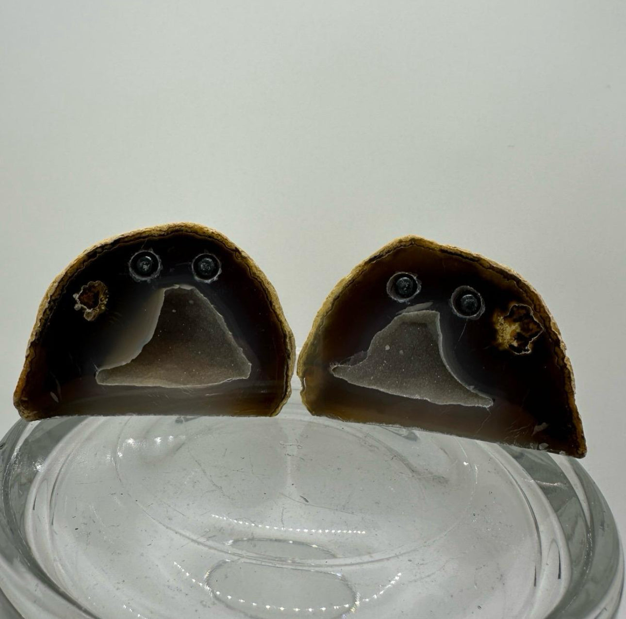 Crystal Critters- Geodes