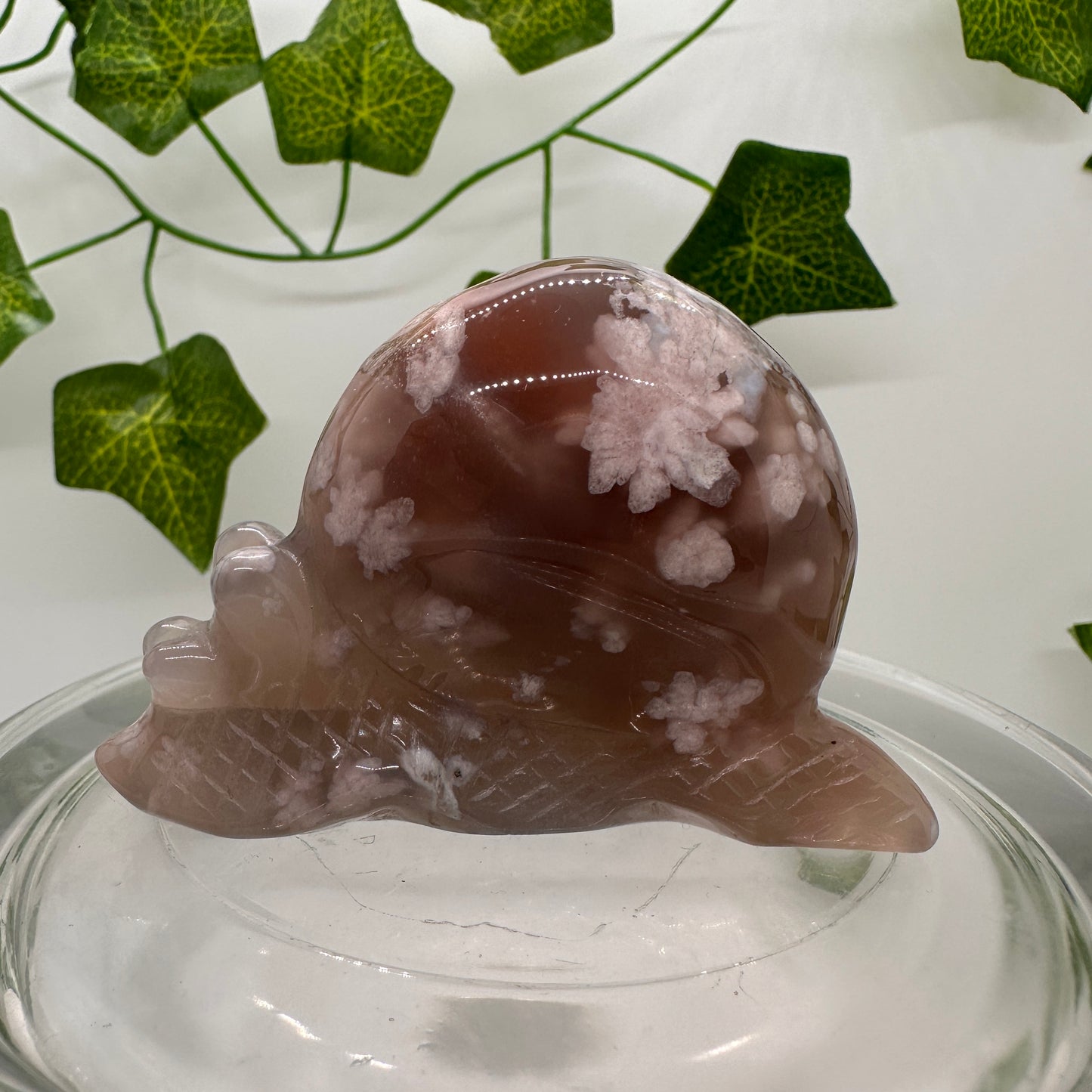 Flower Agate Snail (A) - Katie's Mystic Crystals