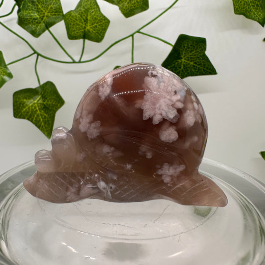 Flower Agate Snail (A) - Katie's Mystic Crystals