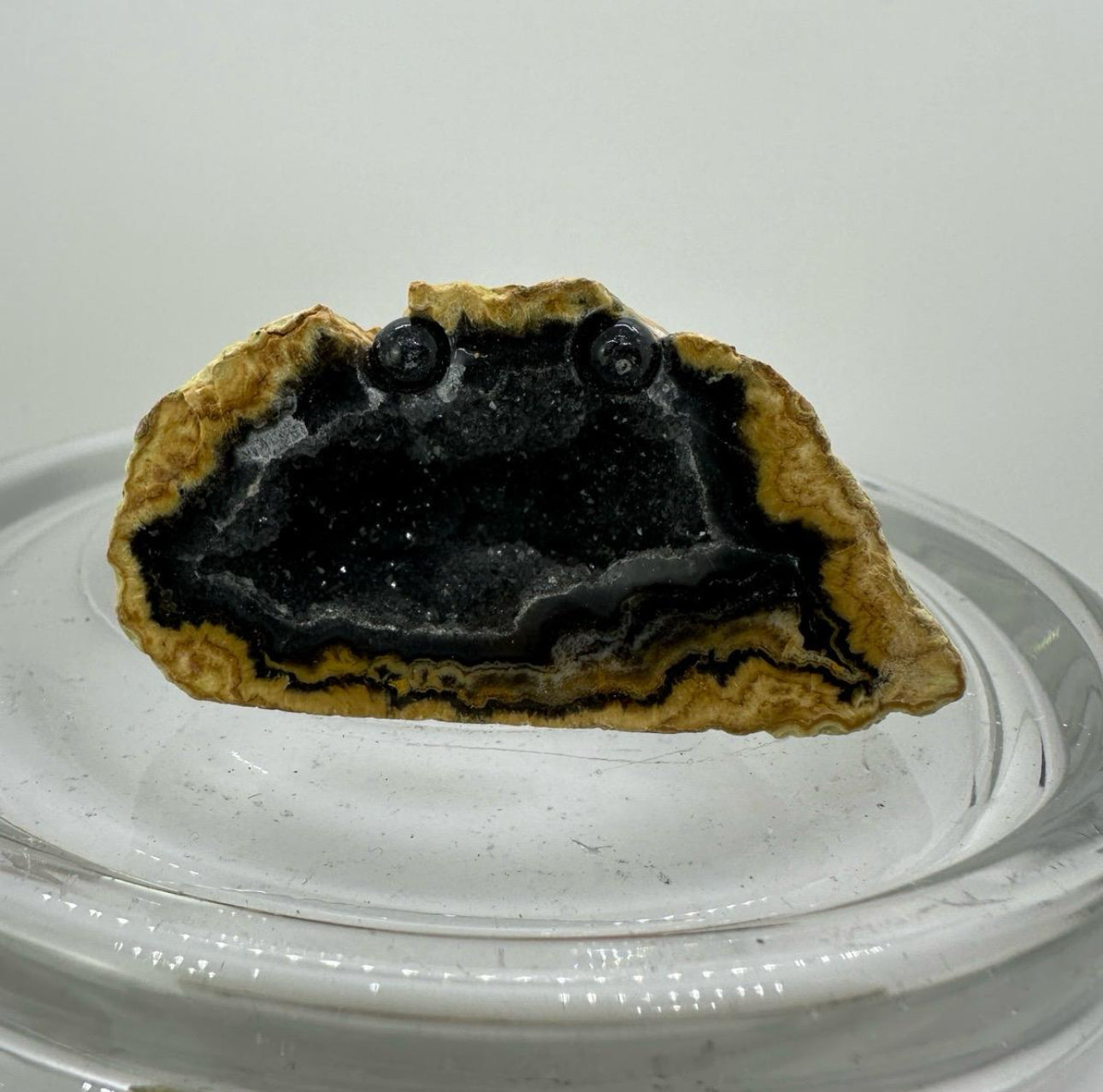 Crystal Critters- Geodes