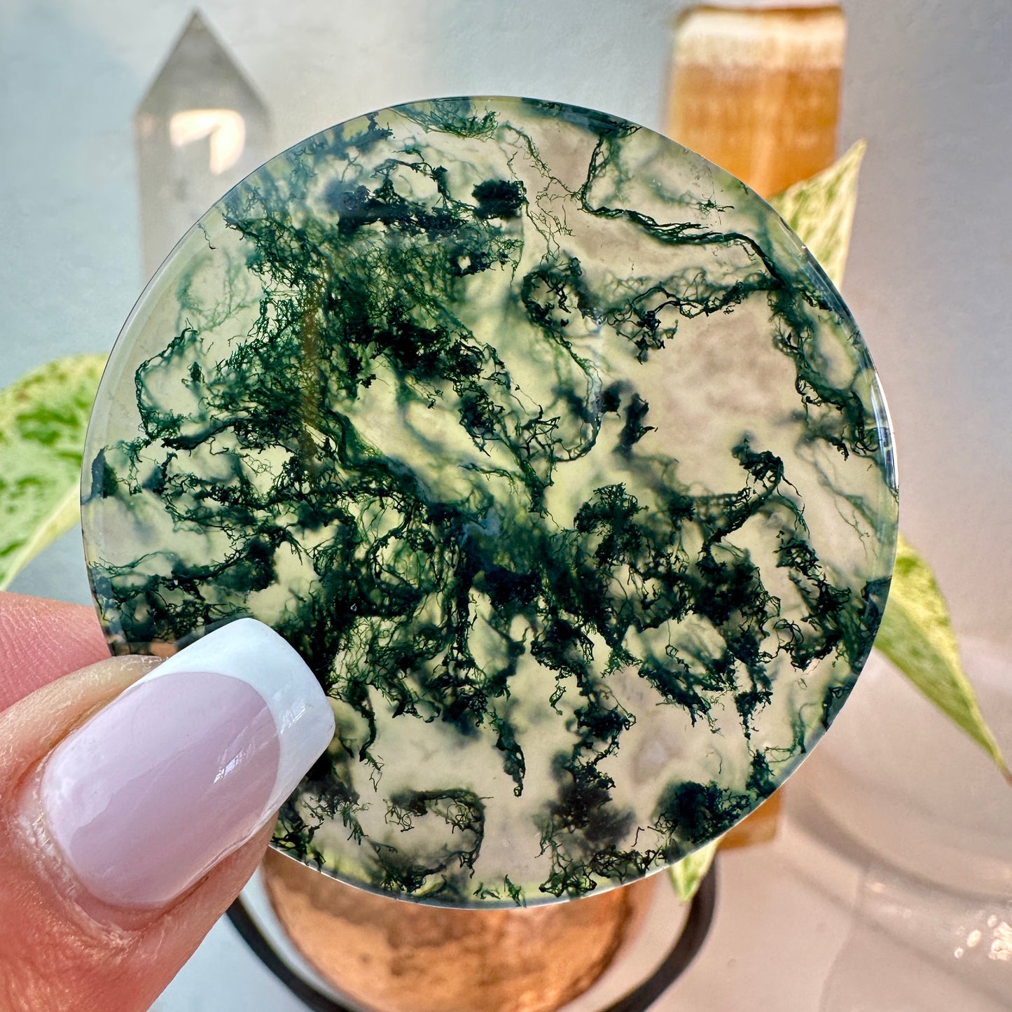 Moss Agate Window Disks — 2 Inch
Nature’s Portal • Grounding • Inner Vision