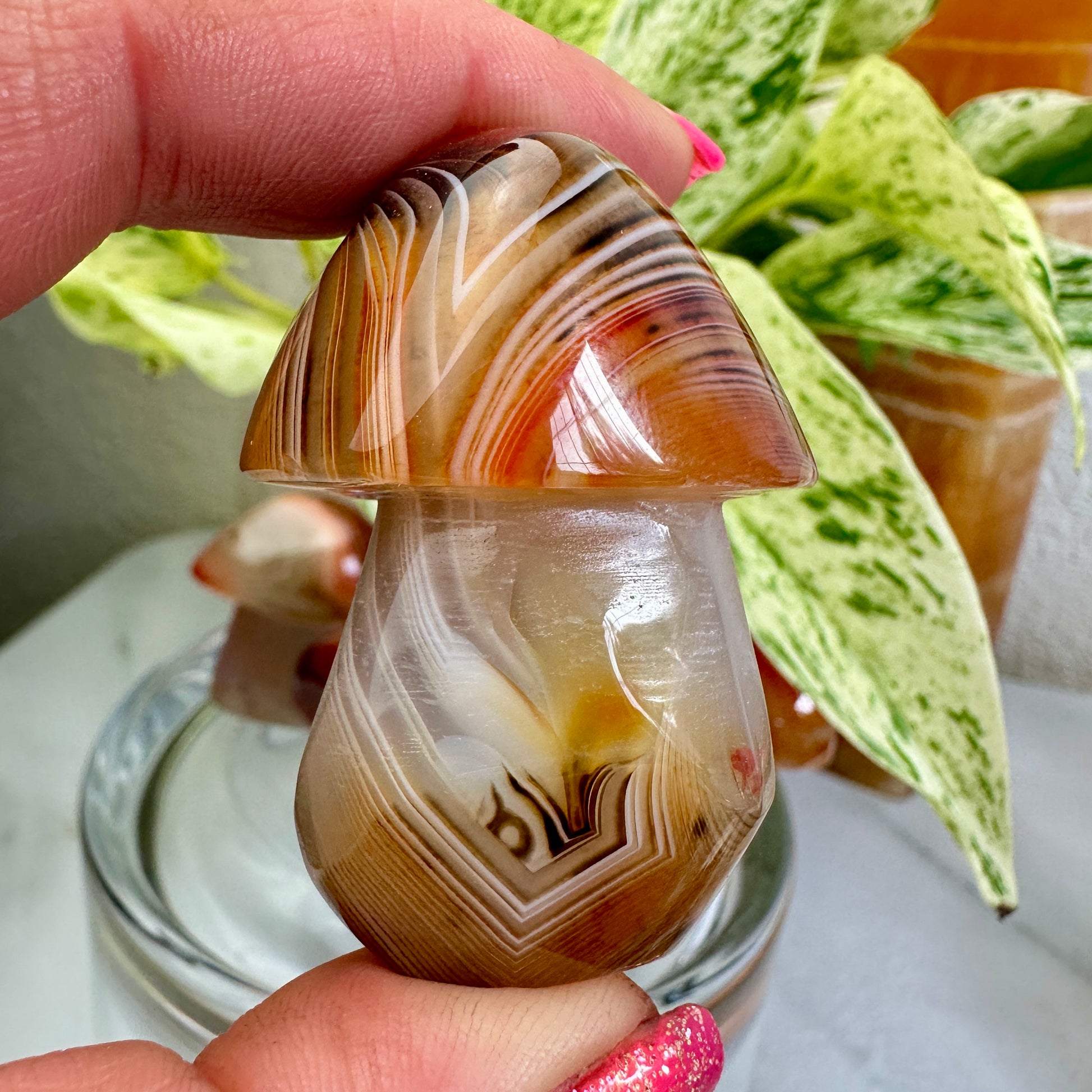 Sardonyx Mushrooms - Katie's Mystic Crystals