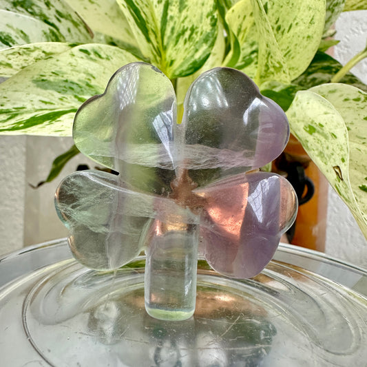 Fluorite Clover - 2 inch - Katie's Mystic Crystals