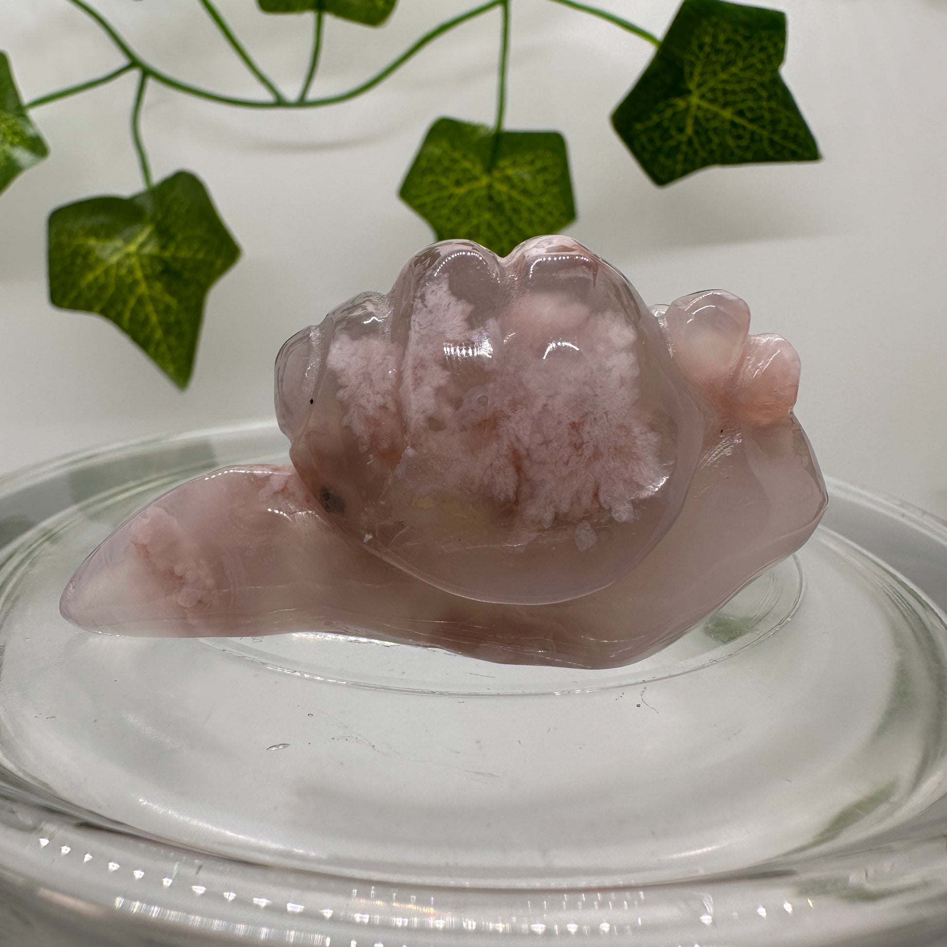 Flower Agate Snail (B) - Katie's Mystic Crystals