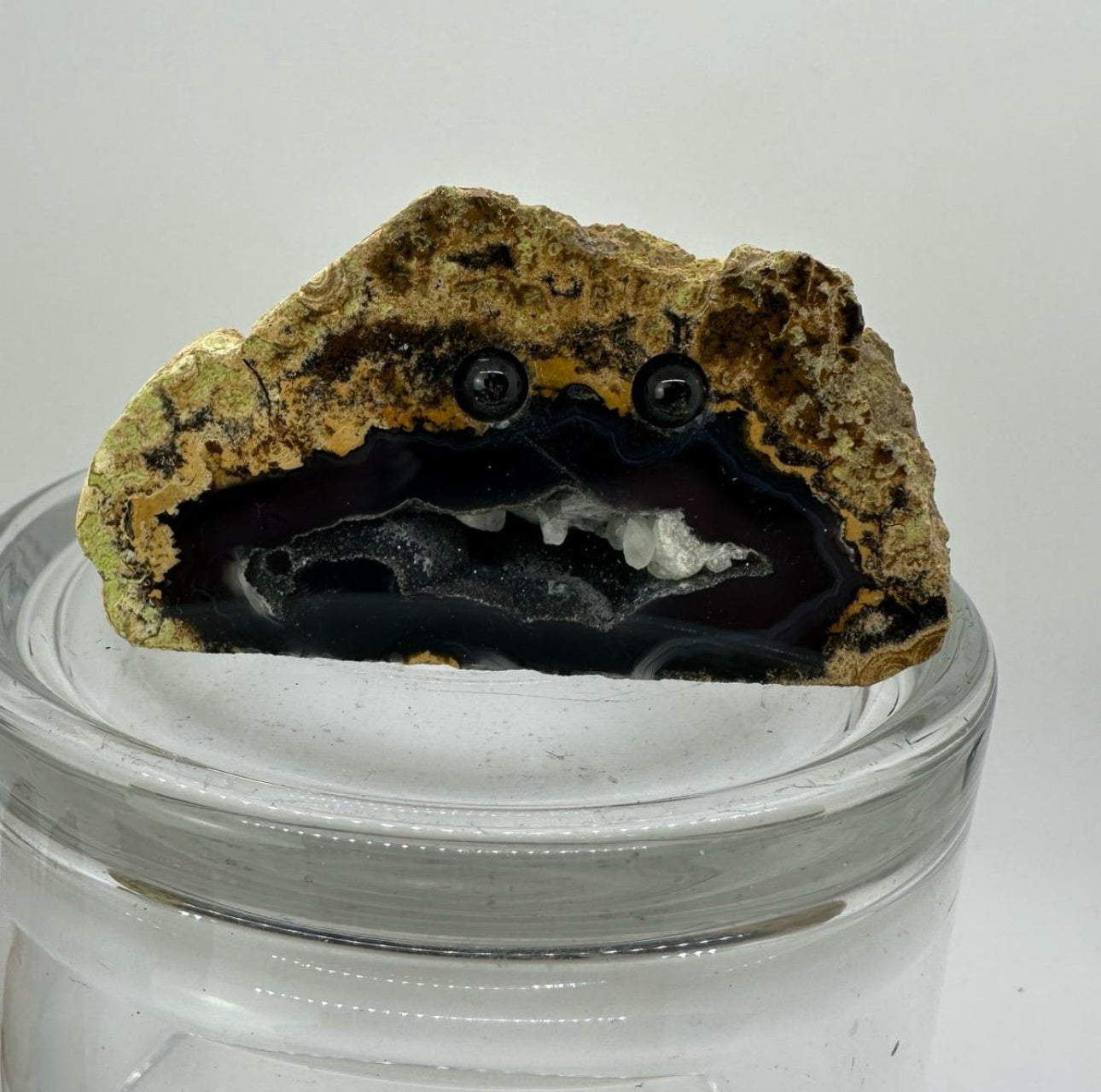 Crystal Critters- Geodes