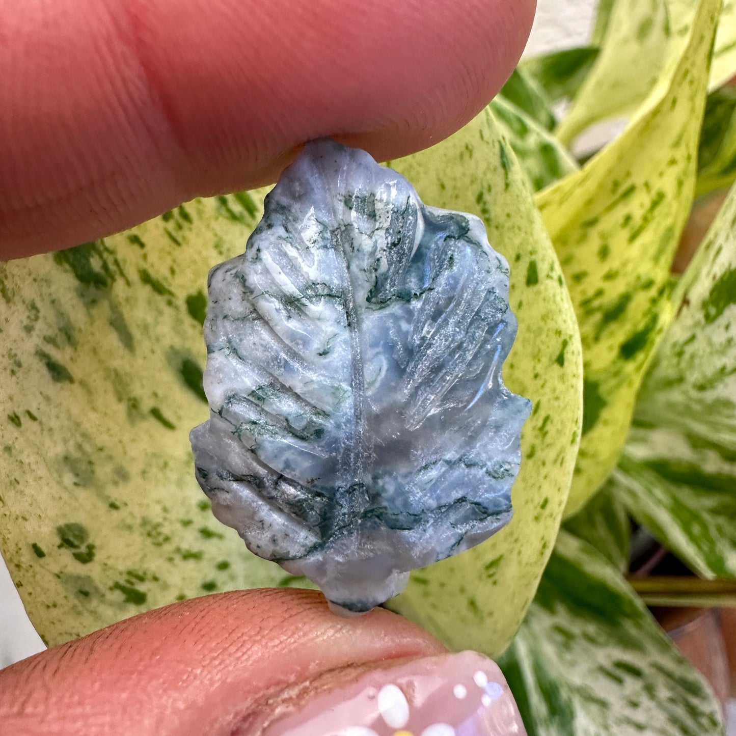 Mini Leaf Carvings - 1 Inch - Katie's Mystic Crystals