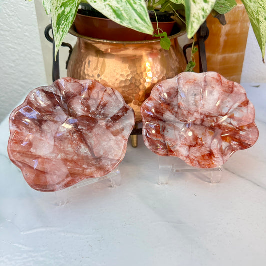 Fire Quartz Seashell-Shaped Dish — Approx. 4 inches Wide
Vitality | Clarity | Emotional Alchemy