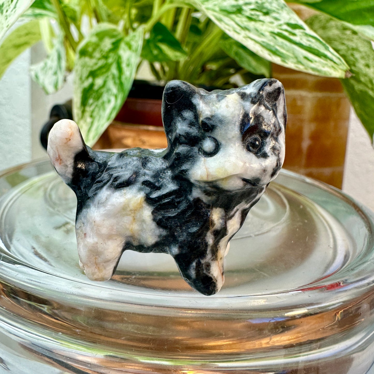 Mini Crystal Cats — 0.25 to 2 inches Whimsy | Protection | Energy Companions