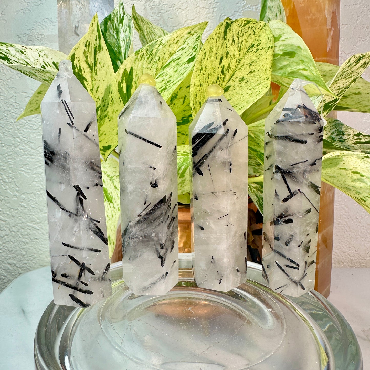 Black Tourmaline in Quartz Points — 3 inch
Protection | Clarity | Energy Alignment - Katie's Mystic Crystals