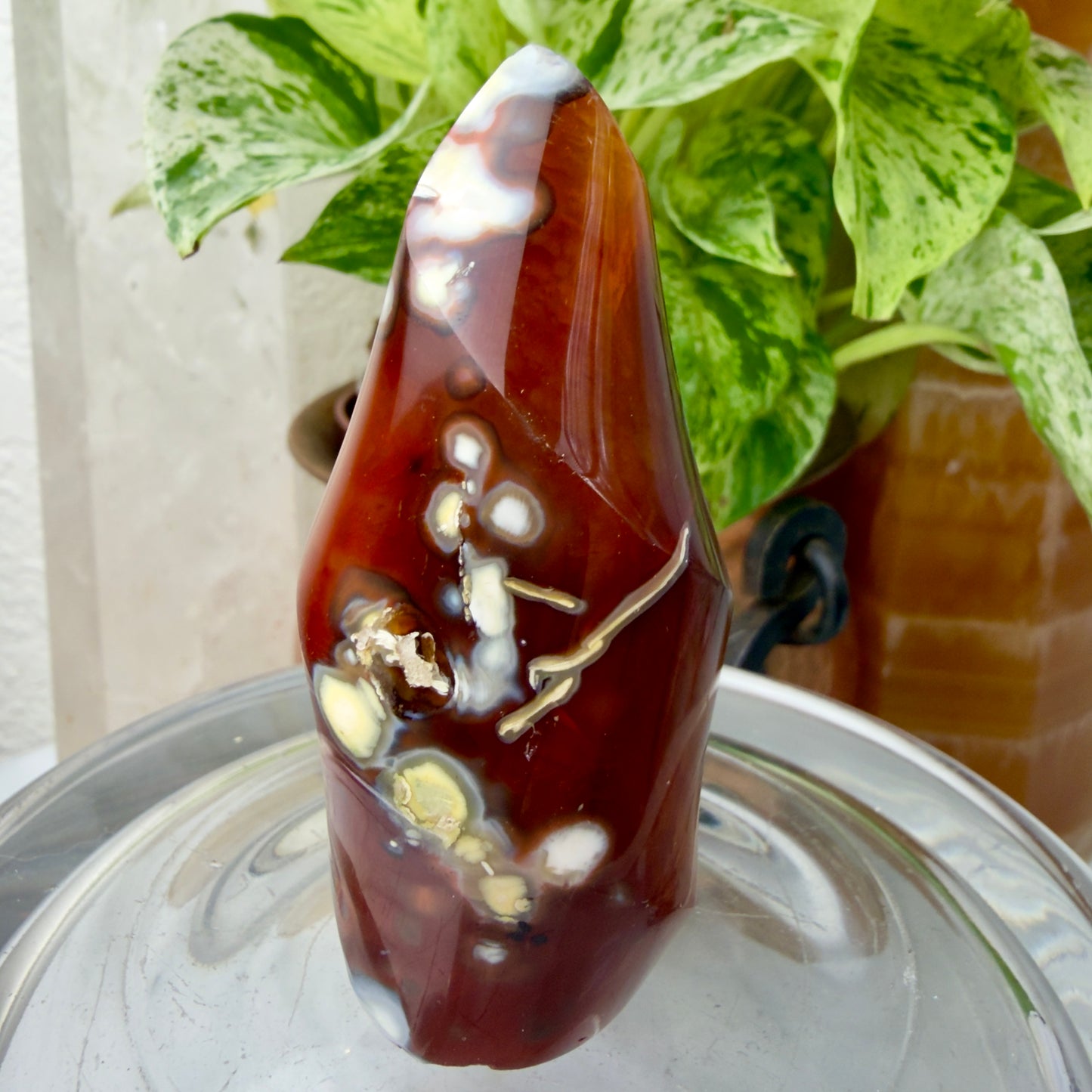 Carnelian Orca Agate Flames – Fiery Energy & Oceanic Calm (2.9” & 3”)