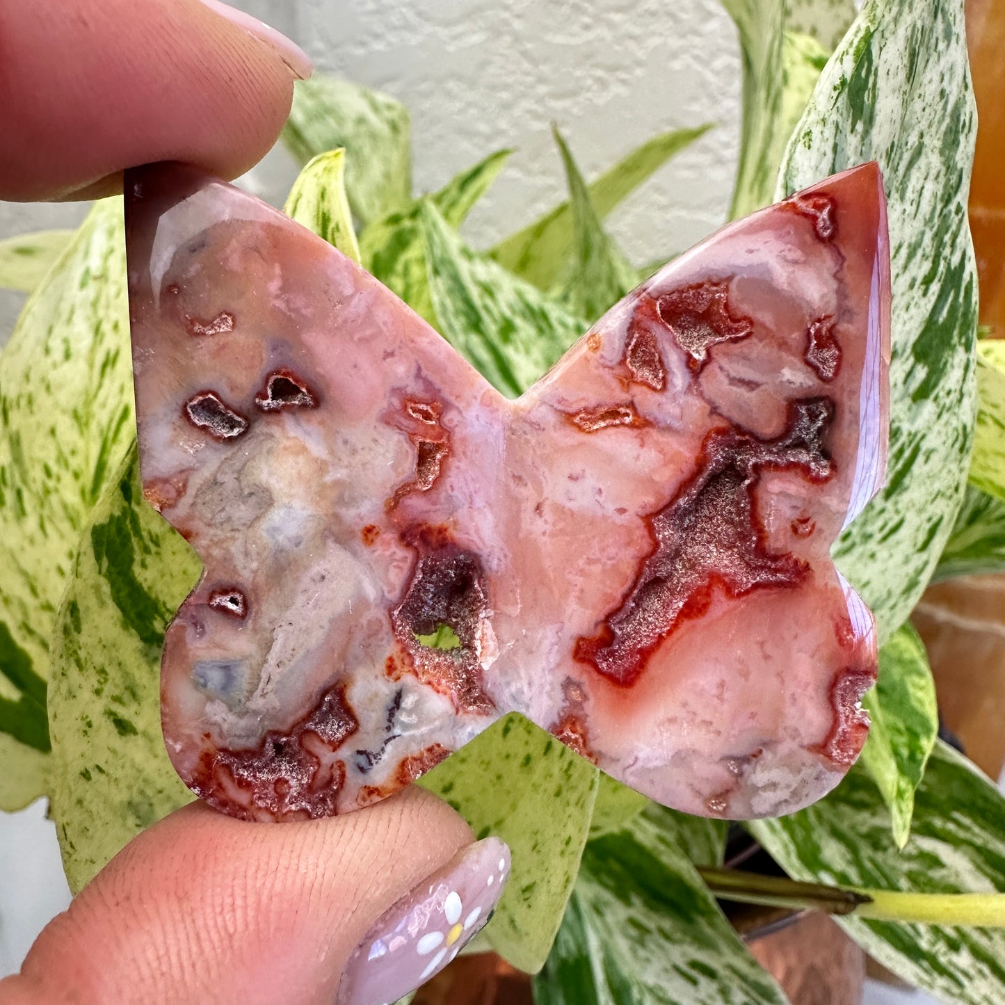 Druzy Carnelian Butterfly - 1.9 inch