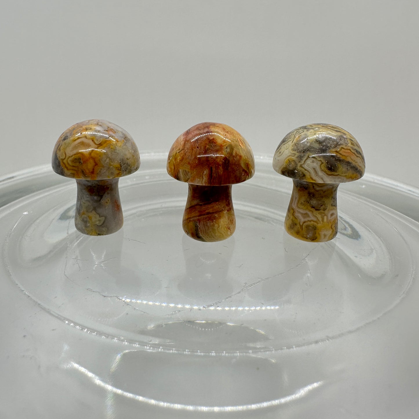 Mini Musbrooms - Crazy Lace - Agate - Flower Agate - Katie's Mystic Crystals