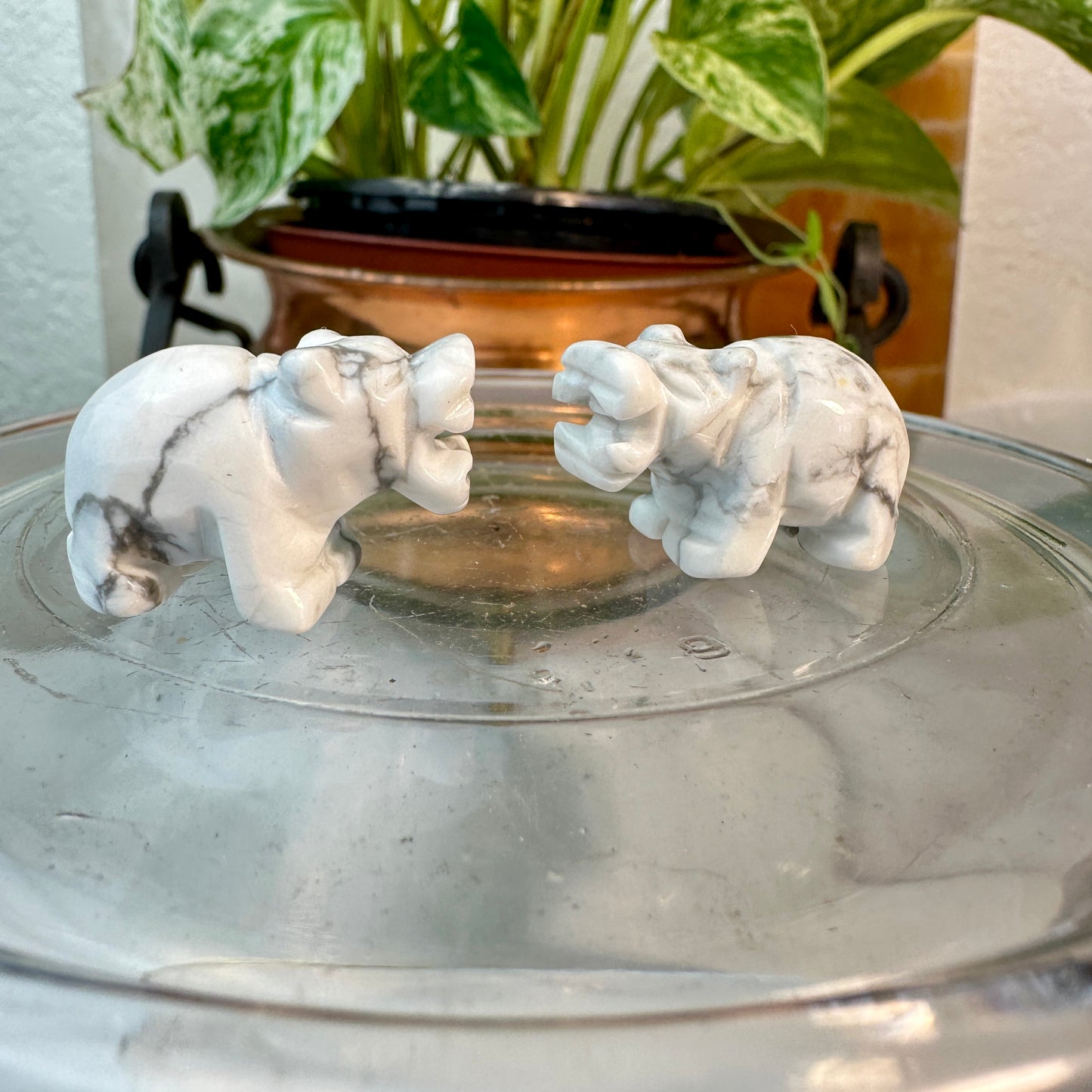 Micro Mini Crystal Hippos — Under 1 Inch
Gentle Strength • Emotional Balance • Playful Spirit