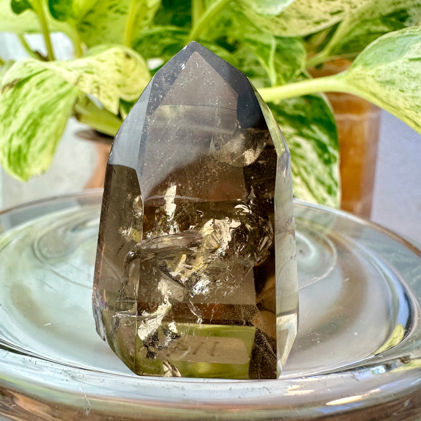 Smoky Quartz Points — High Quality | From Brazil
Grounding | Protection | Transformation - Katie's Mystic Crystals