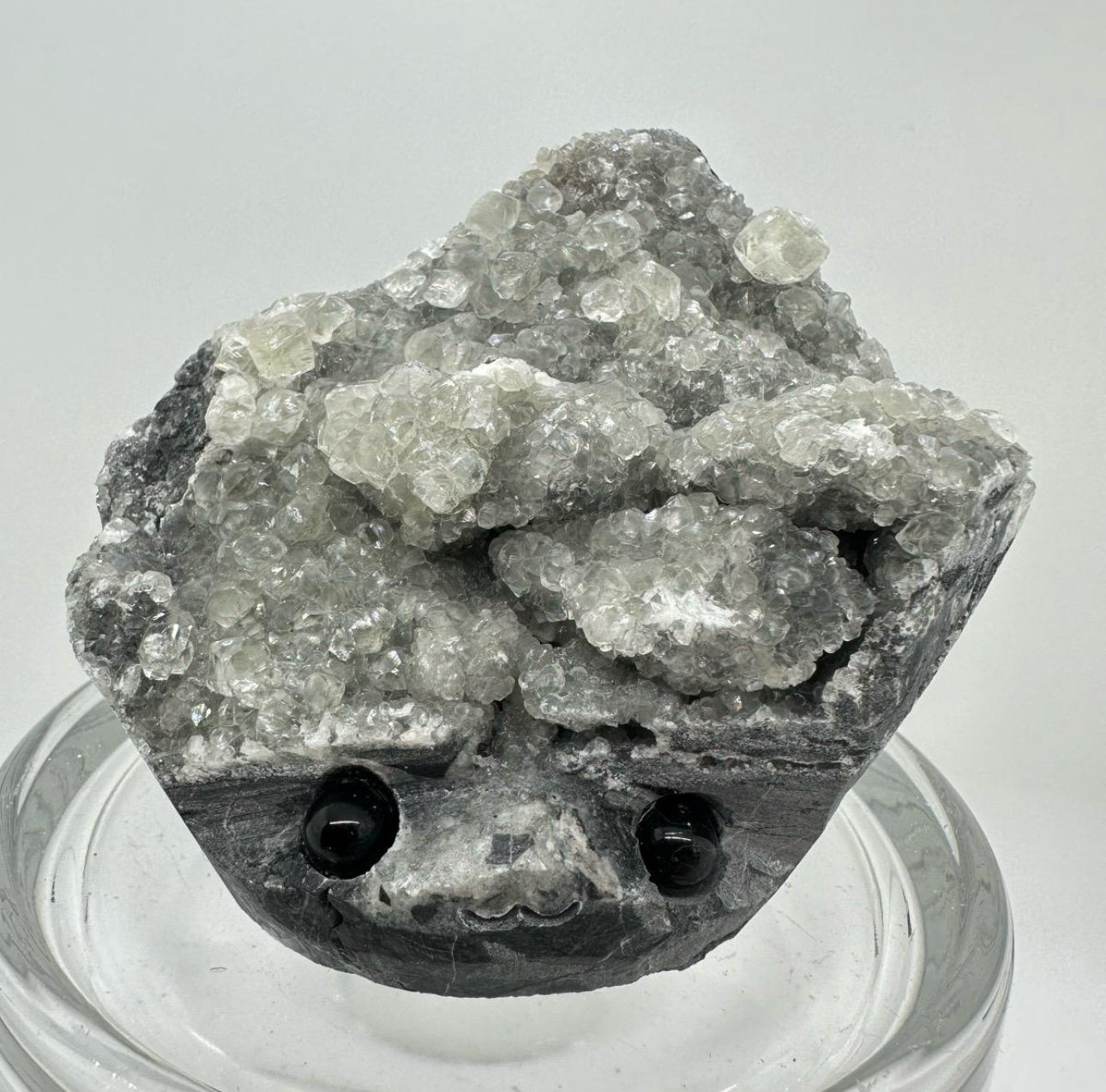 Crystal Critters - Specimen