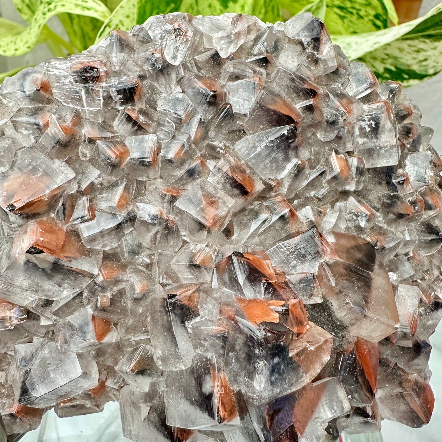 Phantom Calcite with Hematite Inclusions — 1 lb Collector’s Specimen