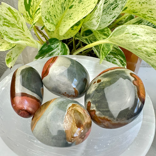 Polychrome Jasper Palm Stones - Katie's Mystic Crystals