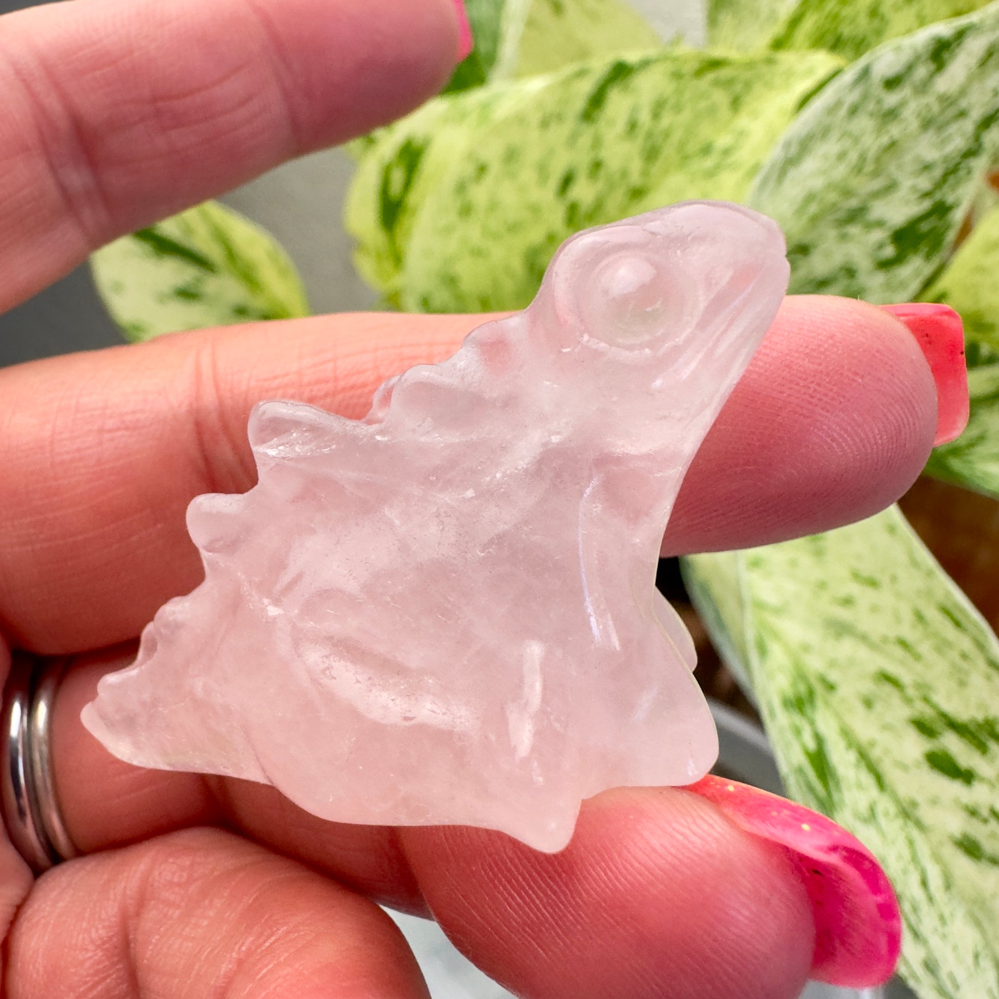 Crystal Baby Stegosaurus - Katie's Mystic Crystals