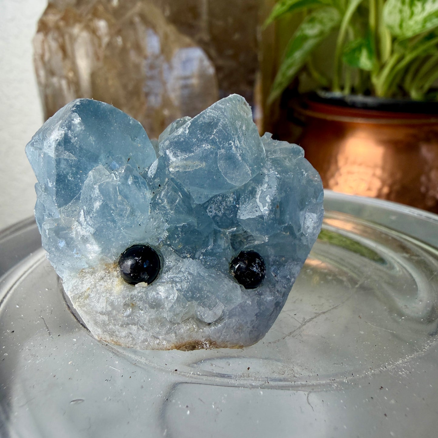 Crystal Critters - Specimen