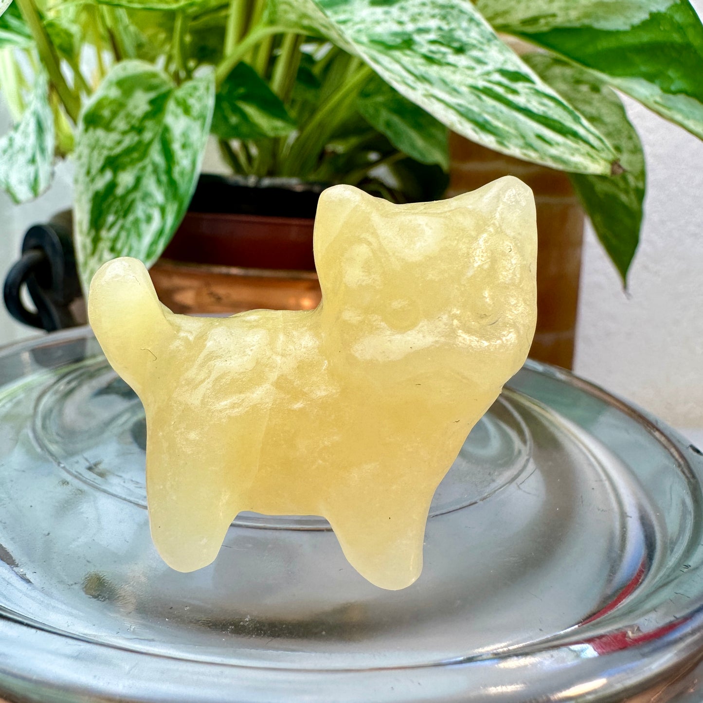Mini Crystal Cats — 0.25 to 2 inches Whimsy | Protection | Energy Companions