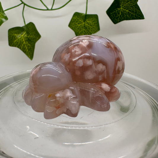 Flower Agate Spider - Katie's Mystic Crystals