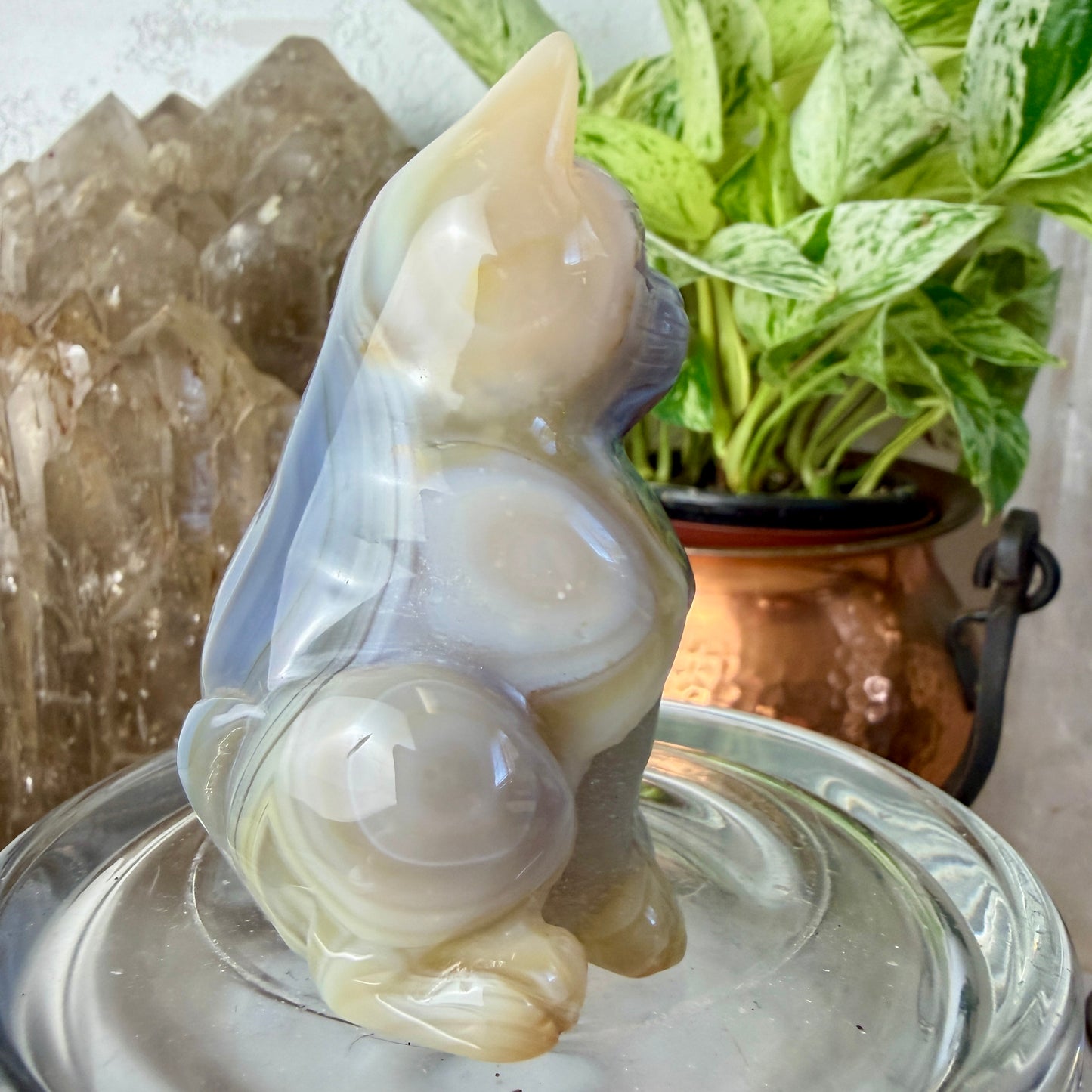 Polished Agate Cats