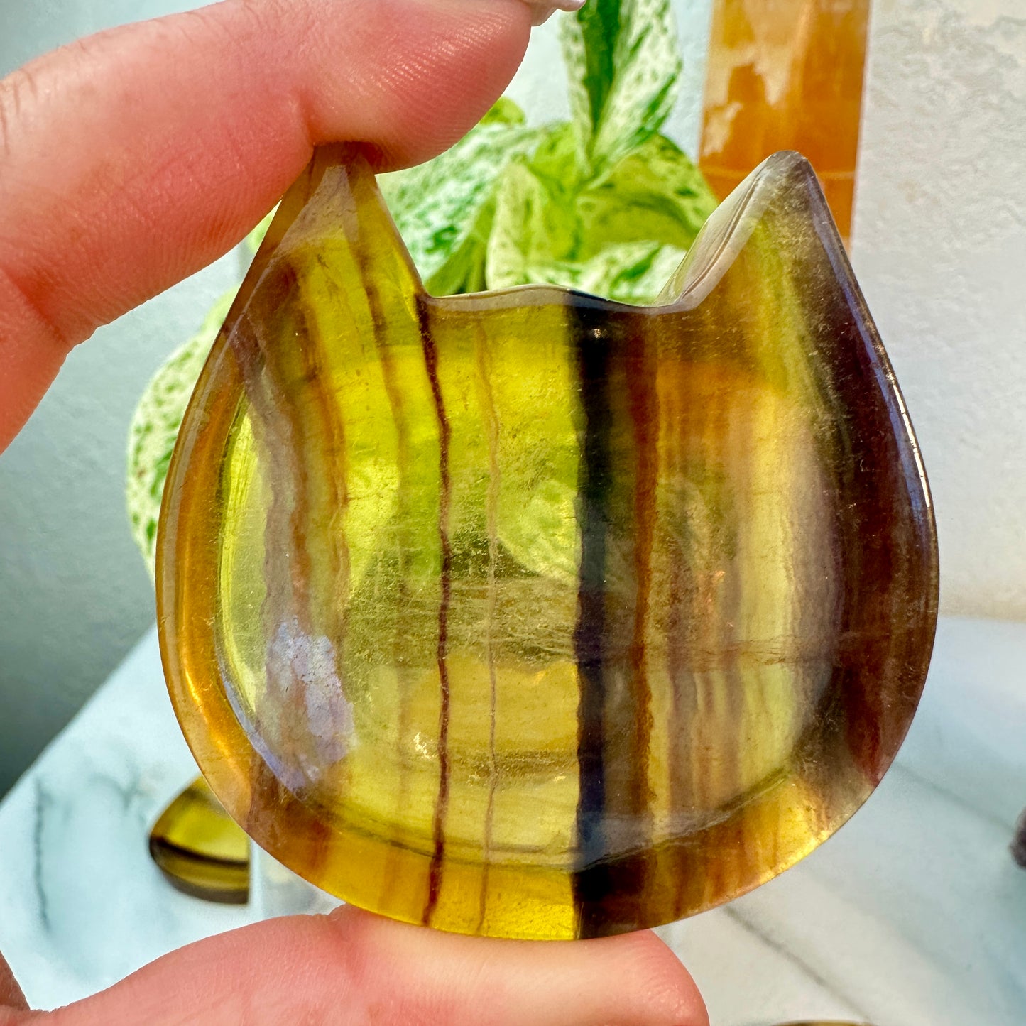 Yellow Banded Fluorite Cat Head Dishes — Small | Intuitive Pick
Confidence | Clarity | Solar Joy