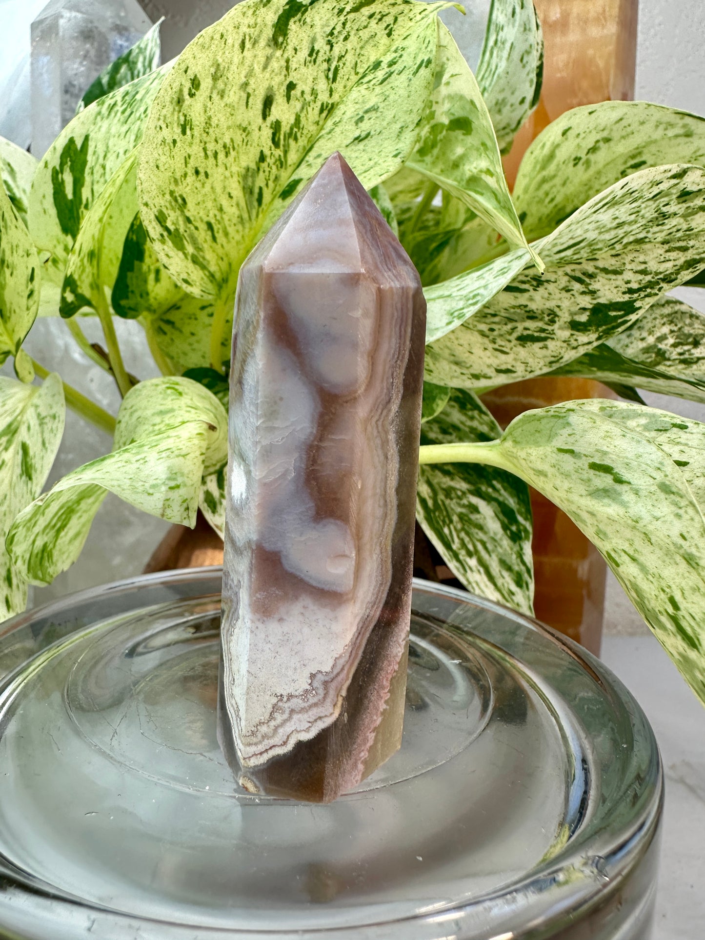 Crazy Lace Agate Points – You Pick
Joy | Focus | Inner Stability