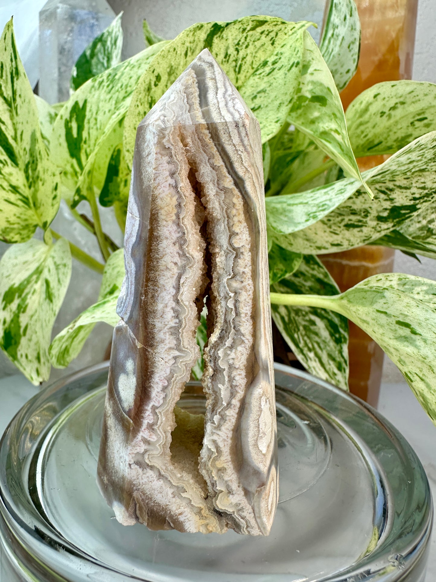 Crazy Lace Agate Points – You Pick
Joy | Focus | Inner Stability