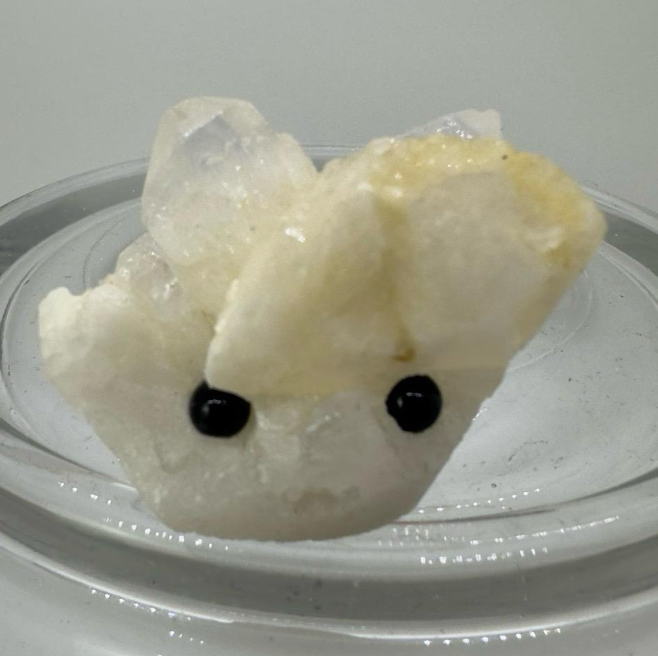 Crystal Critters - Specimen