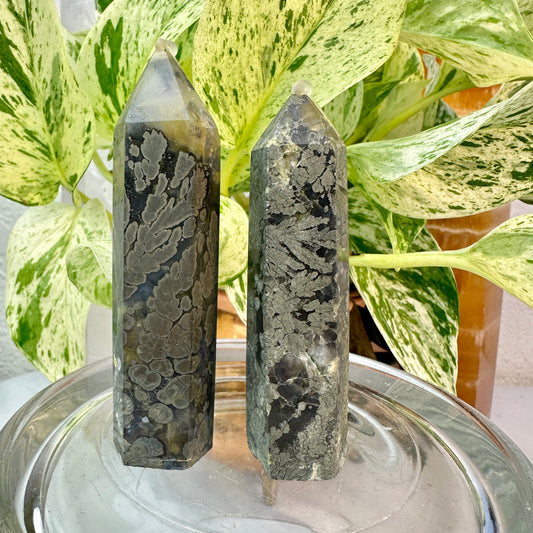 Marcasite Flower Agate Points — 3.1–3.4 inch - Katie's Mystic Crystals