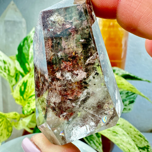 Garden Quartz Freeform — 2.8 inches
Past-Life Recall | Earth Wisdom | Visionary Growth