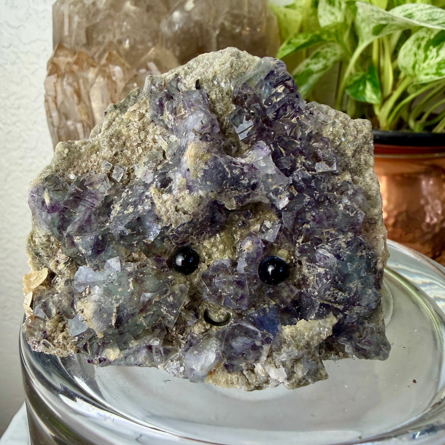 Crystal Critters - Specimen