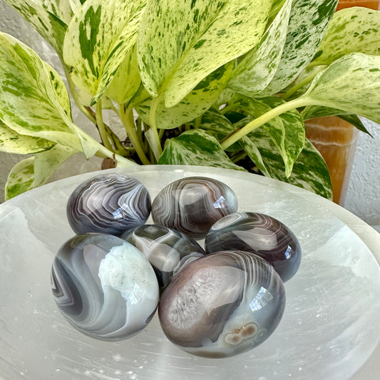Large Botswana Agate Tumbles
