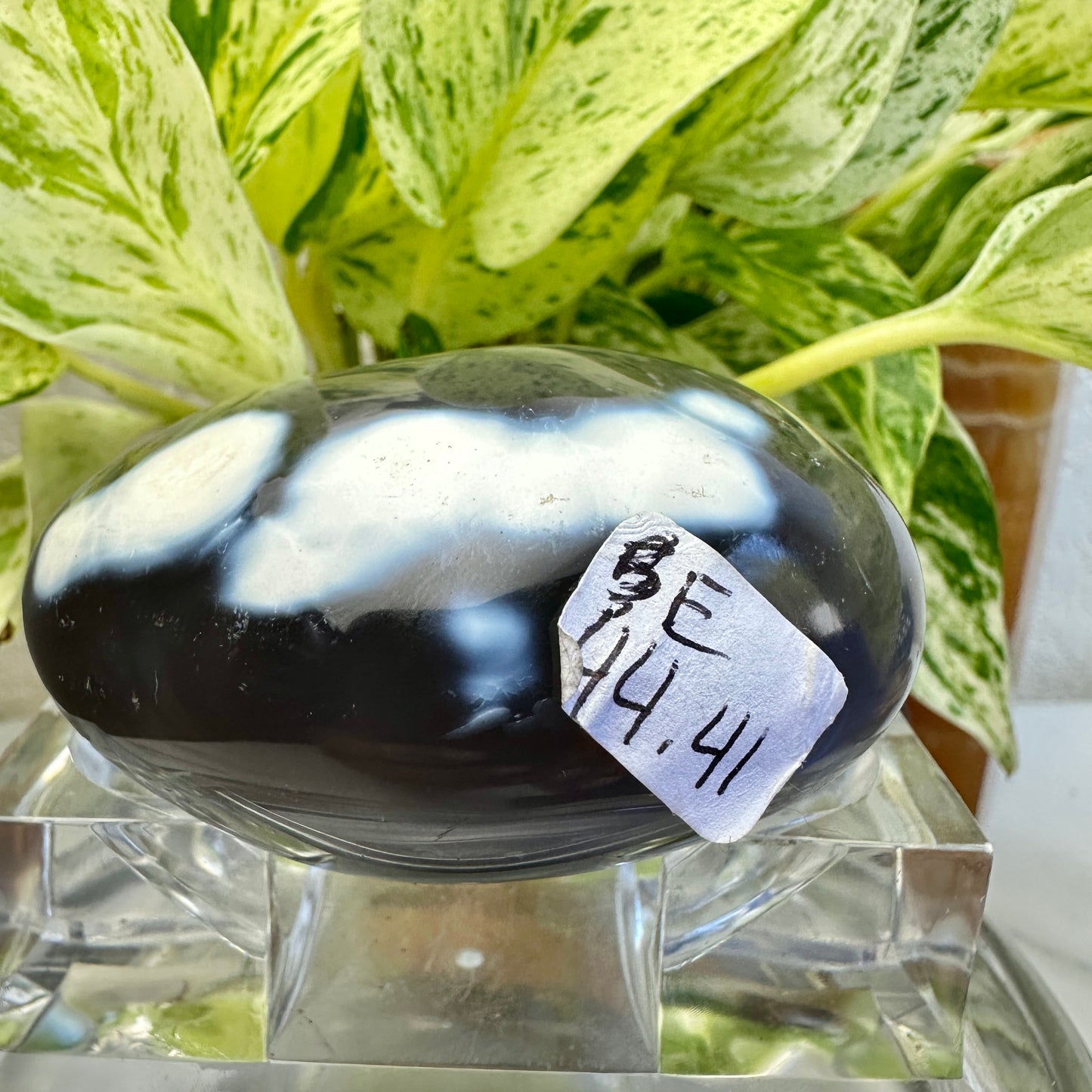 Orca Agate Palm Stone (E)