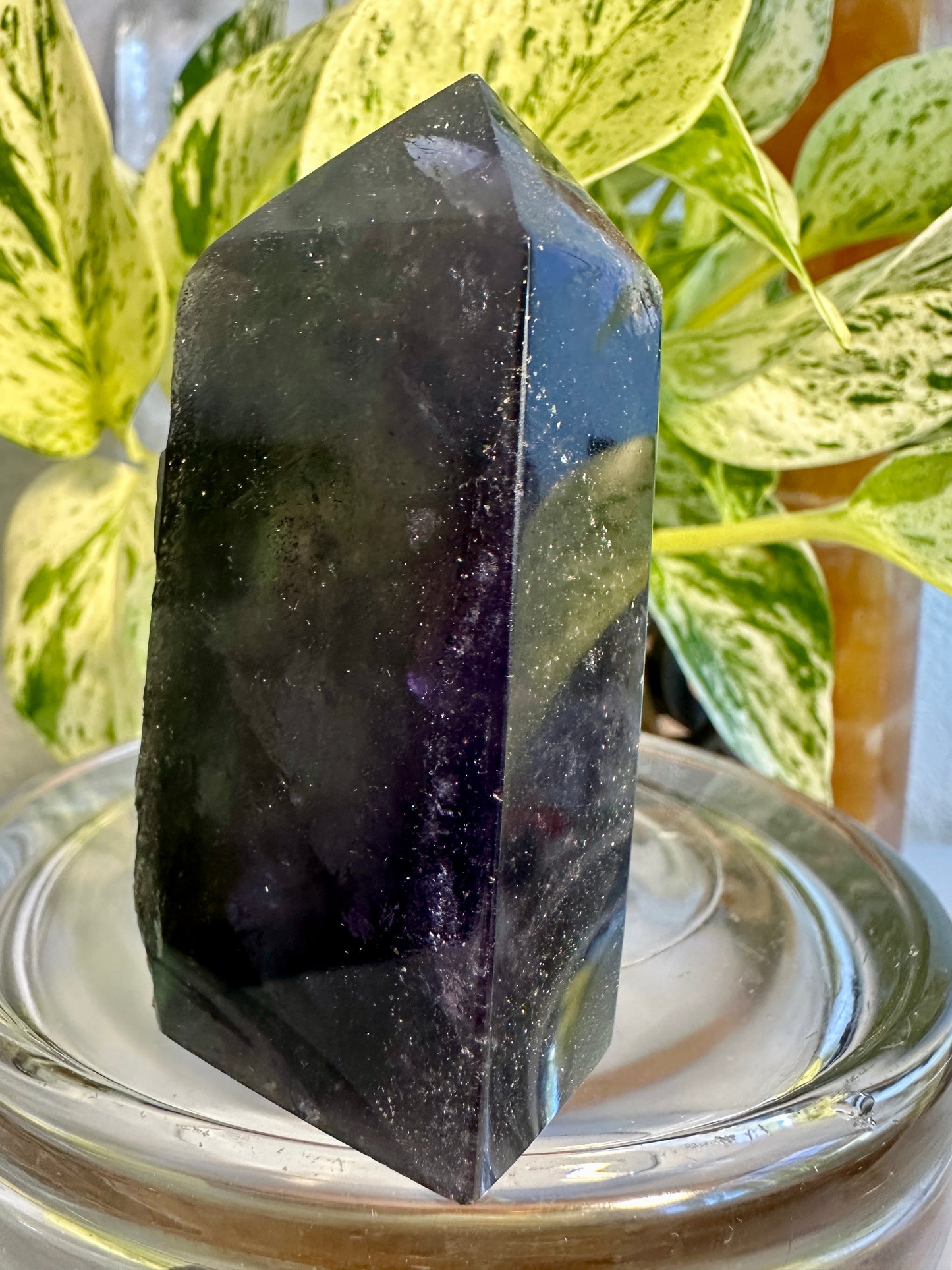 Pyrite in Fluorite Raw Edge Tower — B
2.7 in tall × 1.3 in wide × 1 in thick | 5.4 oz
Abundance | Clarity | Empowered Focus - Katie's Mystic Crystals