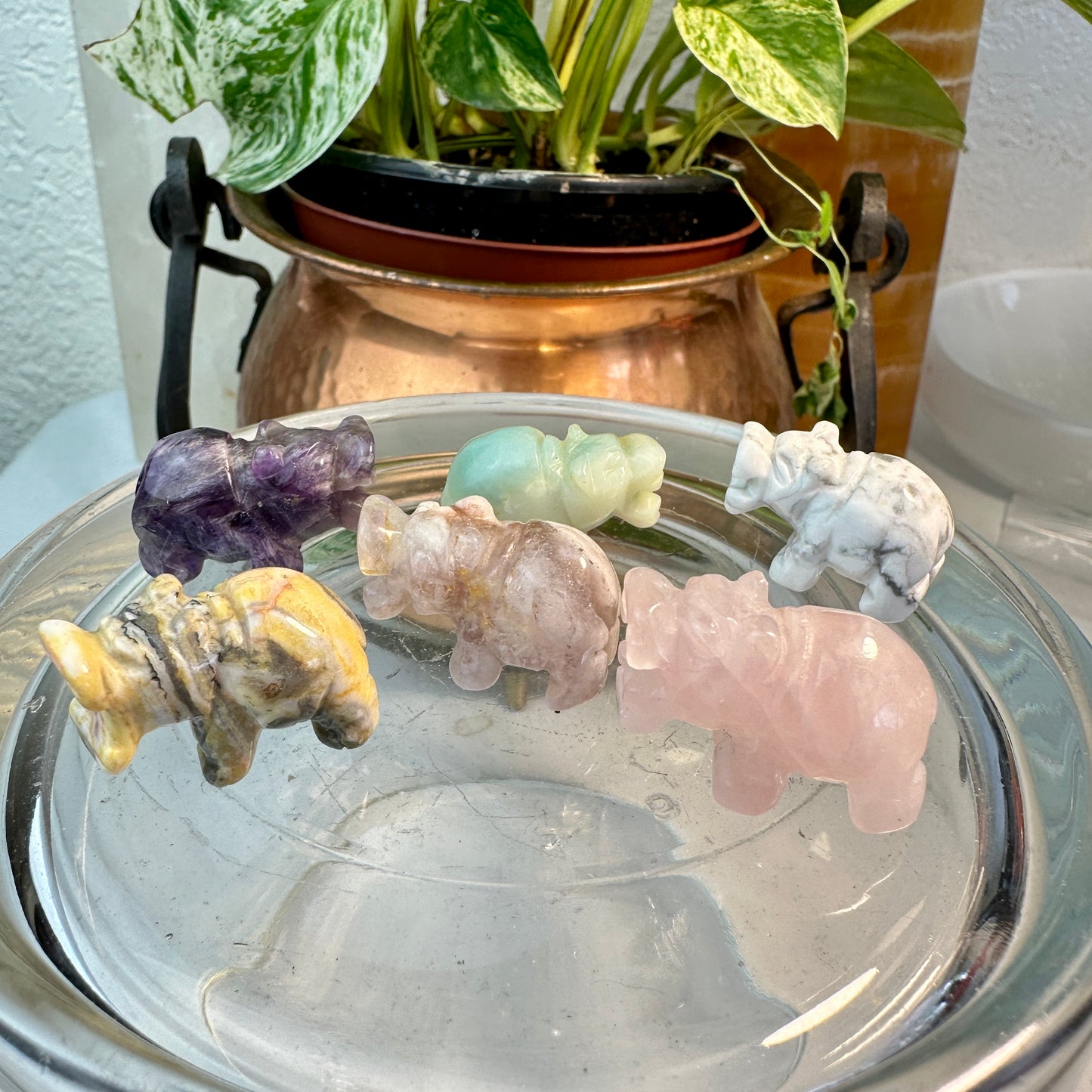 Micro Mini Crystal Hippos — Under 1 Inch
Gentle Strength • Emotional Balance • Playful Spirit