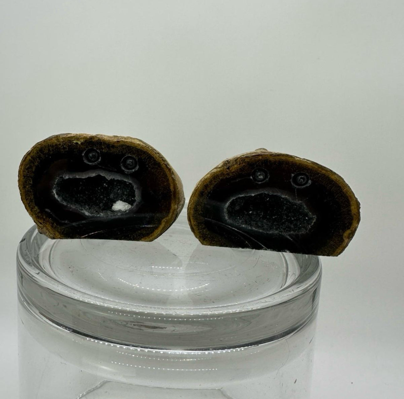 Crystal Critters- Geodes