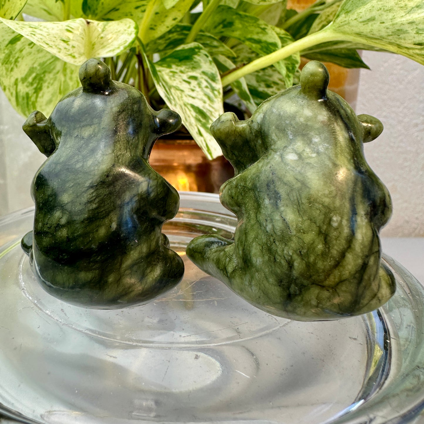 Serpentine Panda — 2 inch
Healing | Protection | Earth Wisdom