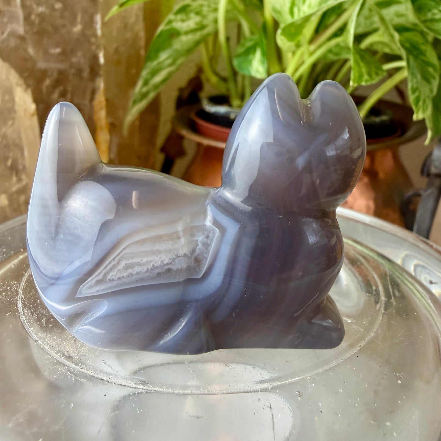 Agate Cat Crystal Carving | Blue Lace Agate Energy & Protection | Unique You-Pick Piece