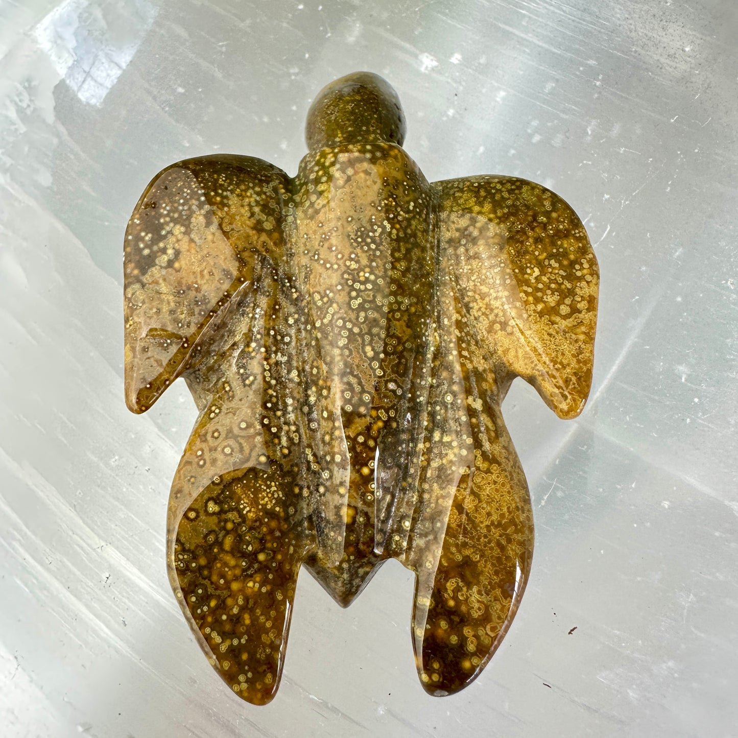 Orbicular Jasper Sea Turtle — 3.4 inch
Patience | Protection | Emotional Flow