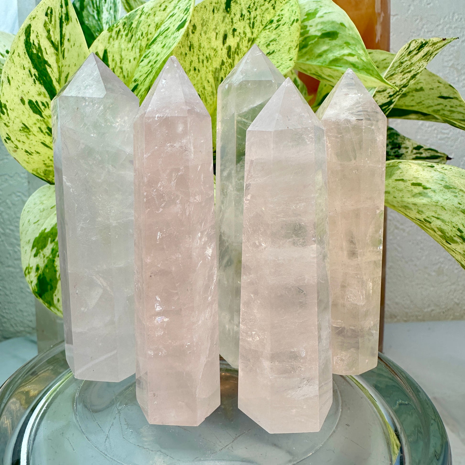 Rose Quartz Points — 3 inch (Imperfect, High Quality)
Love | Compassion | Emotional Healing - Katie's Mystic Crystals