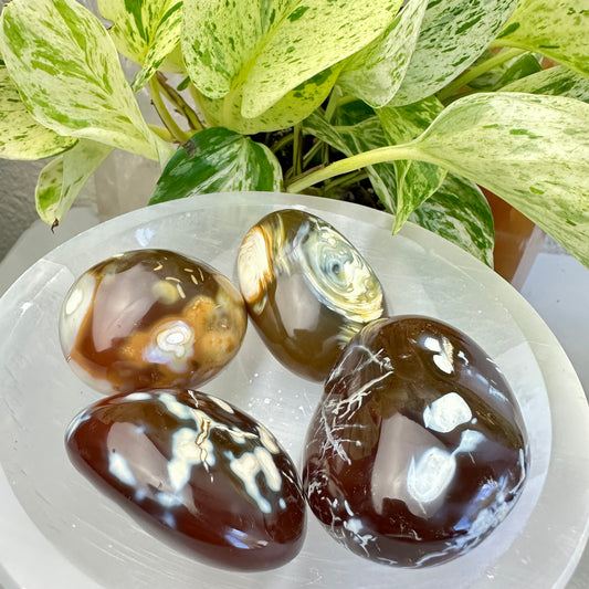 Carnelian Orca Agate Palm Stone