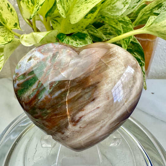 Petrified Wood Heart 6.9oz