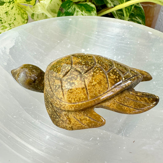 Orbicular Jasper Sea Turtle — 3.4 inch
Patience | Protection | Emotional Flow