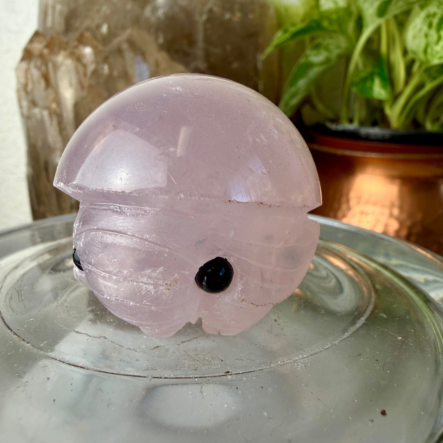 Katie’s Crystal Critters