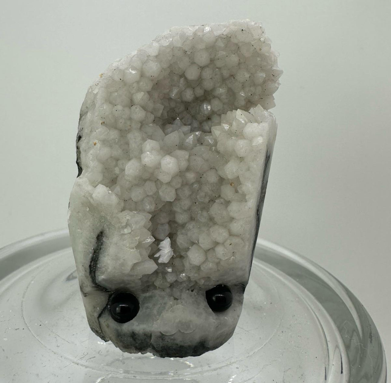 Crystal Critters - Specimen