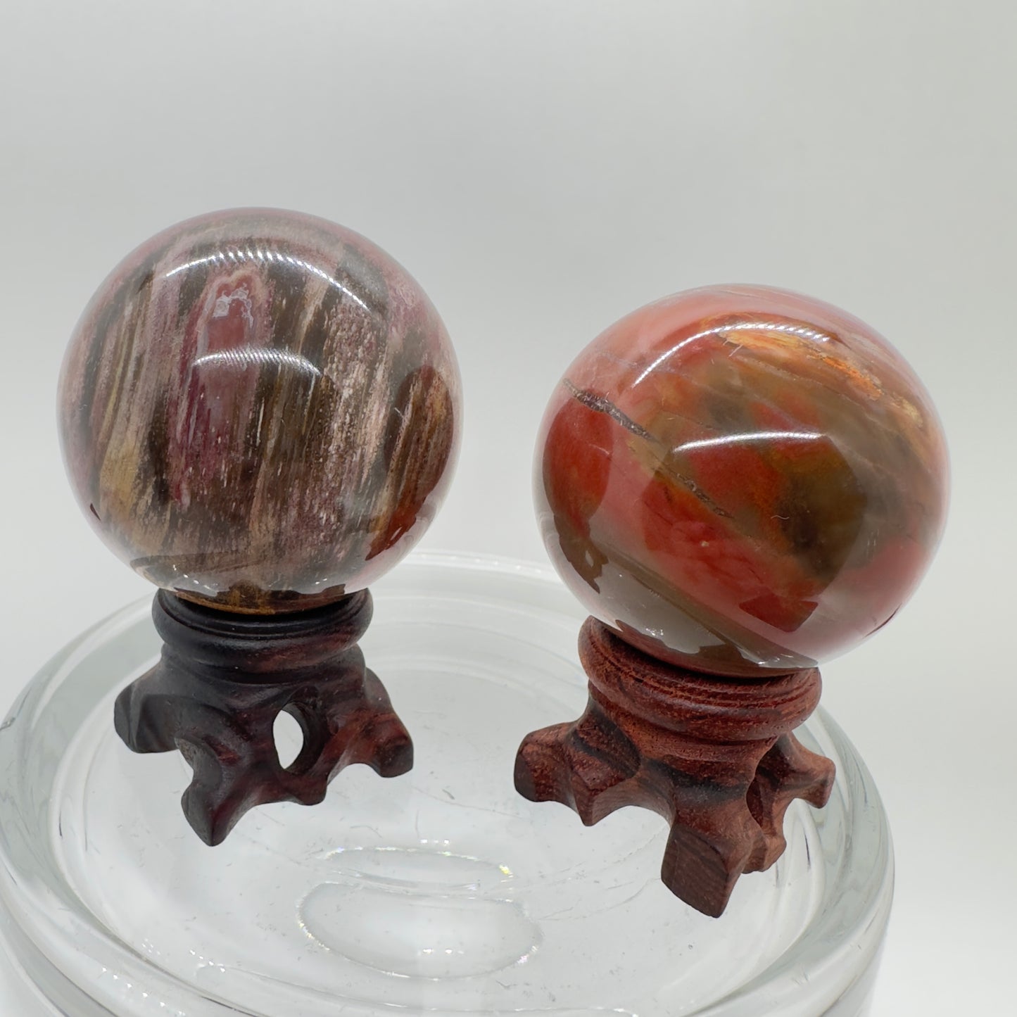 Petrified Wood Spheres - Katie's Mystic Crystals