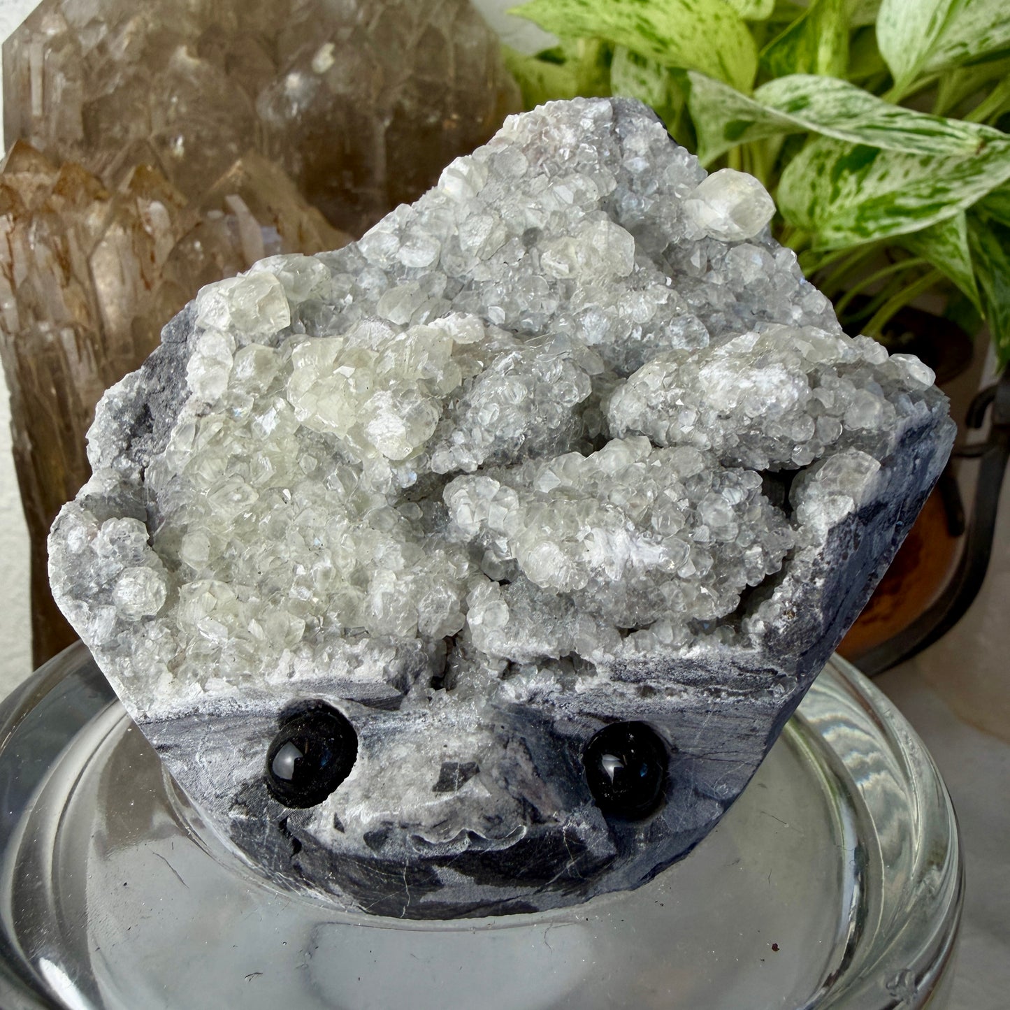 Crystal Critters - Specimen