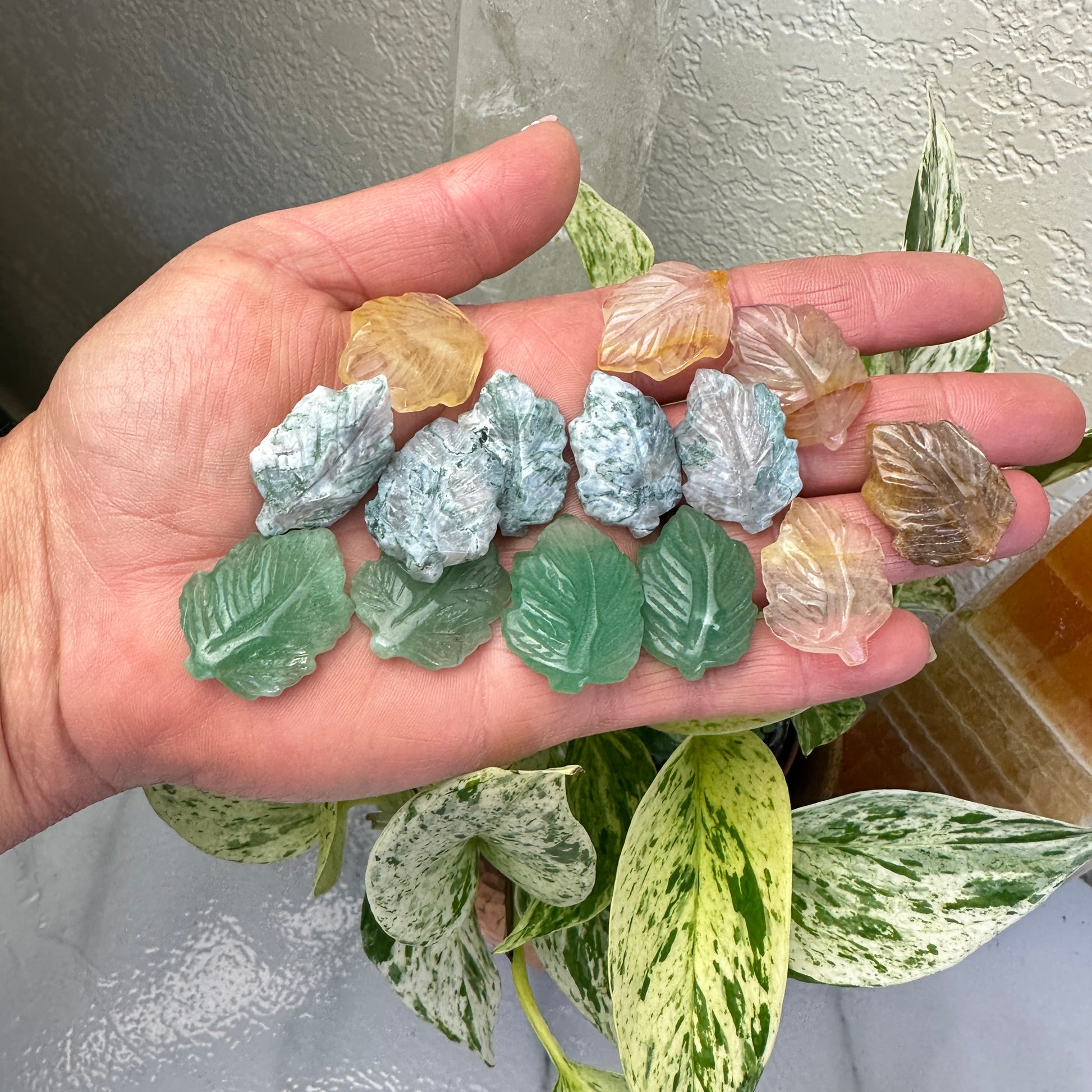 Mini Leaf Carvings - 1 Inch - Katie's Mystic Crystals